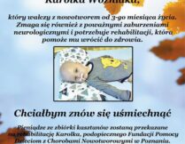 Więcej o: Zbiórka kasztanów dla Karolka Woźniaka!