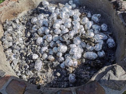 Sprzątanie świata 2022