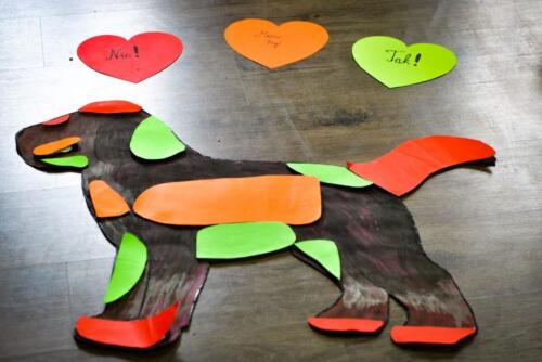 Z emocjami na cztery łapy